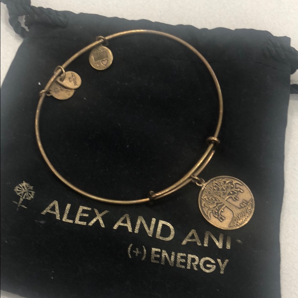 Alex and ani bracelet